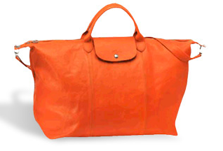 Le Pliage Cuir Leather Shoulder Bag