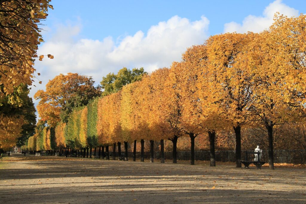 Packing for Paris in the Fall Tuileries