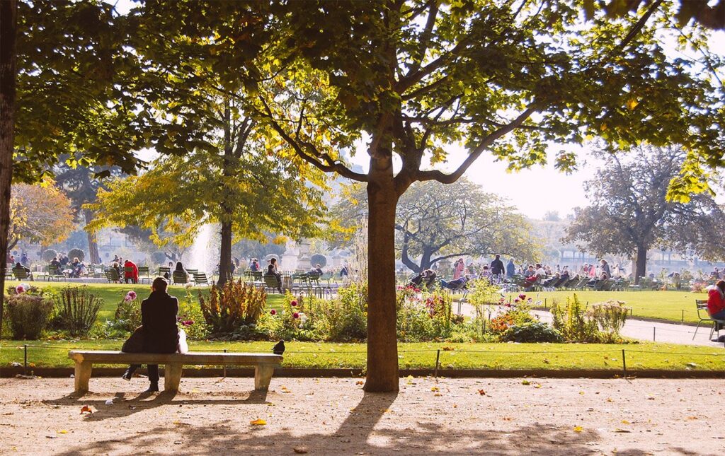 Tuileries Gardens Fall