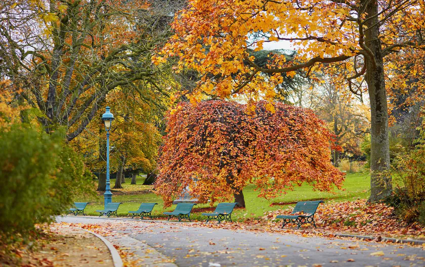 Autumn in Paris 5 Places to See Fall Foliage in Paris Paris Perfect