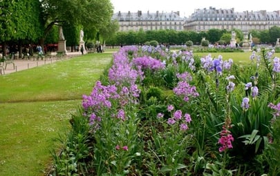 The Idyllic Jardin des Tuileries in Paris