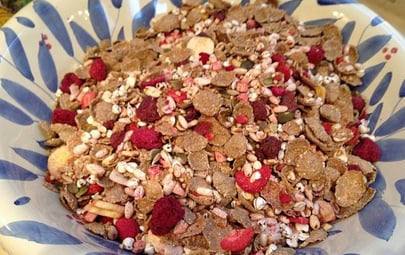 Recipe for Maddy’s Healthy Grains Breakfast Cereal