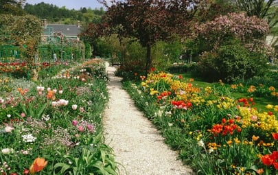 Why You Simply Must See the Tulip Season at Giverny – A Floral Wonderland!