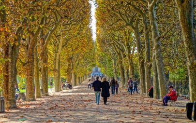 Falling for the City of Light: 5 Reasons to Visit Paris in Fall