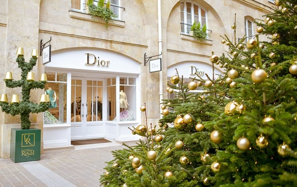 Christmas Trees in Paris