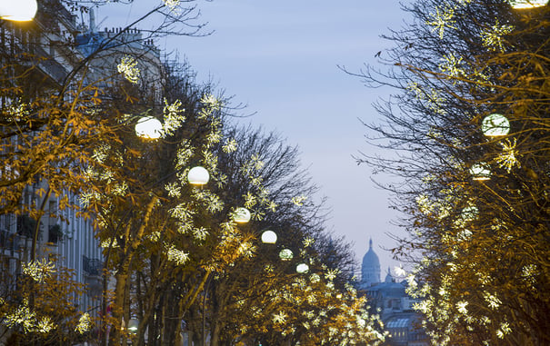 Christmas Lights in Paris