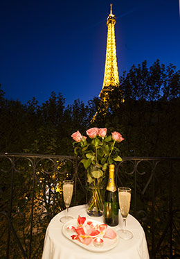 Gorgeous One Bedroom Apartment with Stunning Eiffel Tower Views